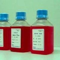 綿羊紅細(xì)胞4%（無(wú)菌 pet瓶裝）