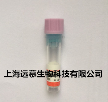 毛細血管擴張性共濟失調癥突變蛋白抗原