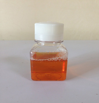 特級新生牛血清(口蹄疫病毒抗體陰性 無菌 未經滅活)保存方法及注意事項講述